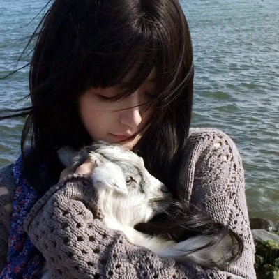 太阳、月亮、飓风